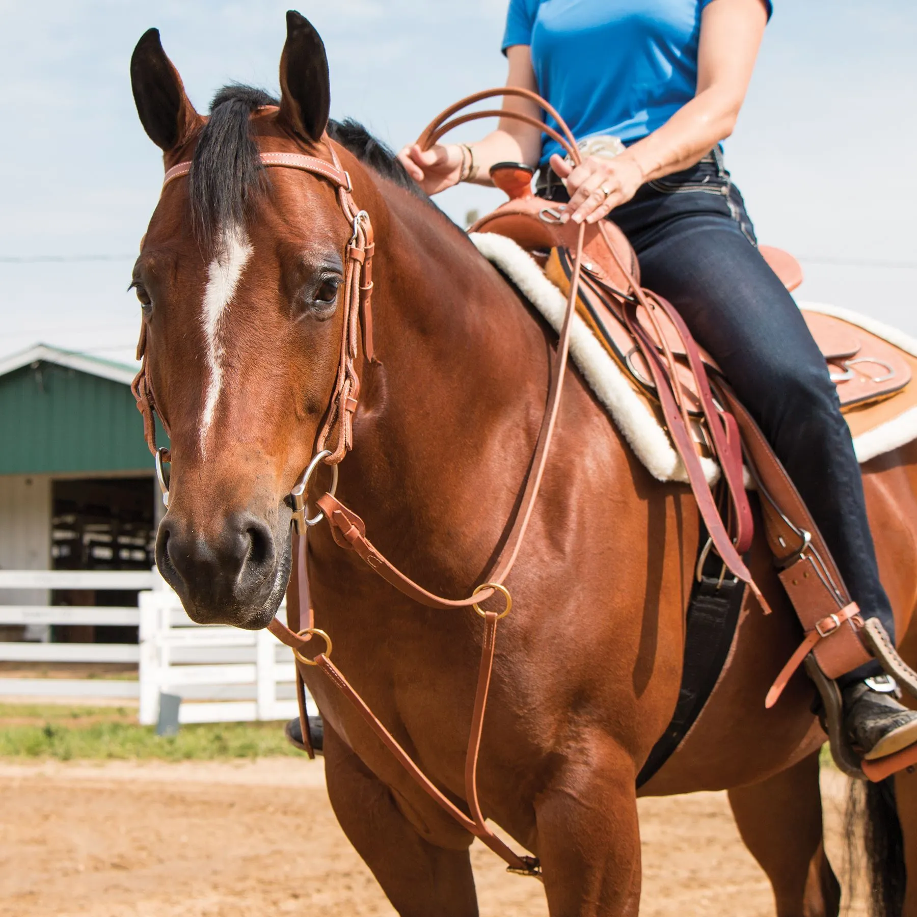 Billy Royal® Texas Training Fork 1 Billy Royal® Texas Training Fork