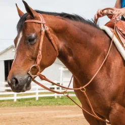 Billy Royal® Texas Training Fork 5 Billy Royal® Texas Training Fork -Equestrian Supplies Shop 01465 alt b