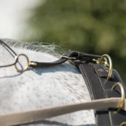 Billy Royal® Multi-Ring Training Surcingle 7 Billy Royal® Multi-Ring Training Surcingle -Equestrian Supplies Shop 01724 alt b