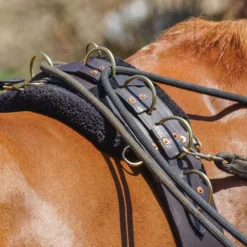 Premier® Premier Multi-Ring Surcingle 9 Premier® Premier Multi-Ring Surcingle -Equestrian Supplies Shop 01725 alt b