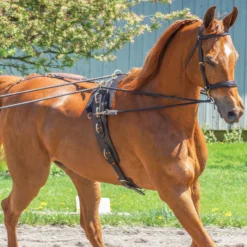 Premier® Premier Multi-Ring Surcingle 11 Premier® Premier Multi-Ring Surcingle -Equestrian Supplies Shop 01725 alt d