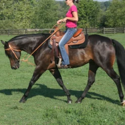 Billy Royal® Harness Leather Pulley Draw Reins -Equestrian Supplies Shop 01741 alt b