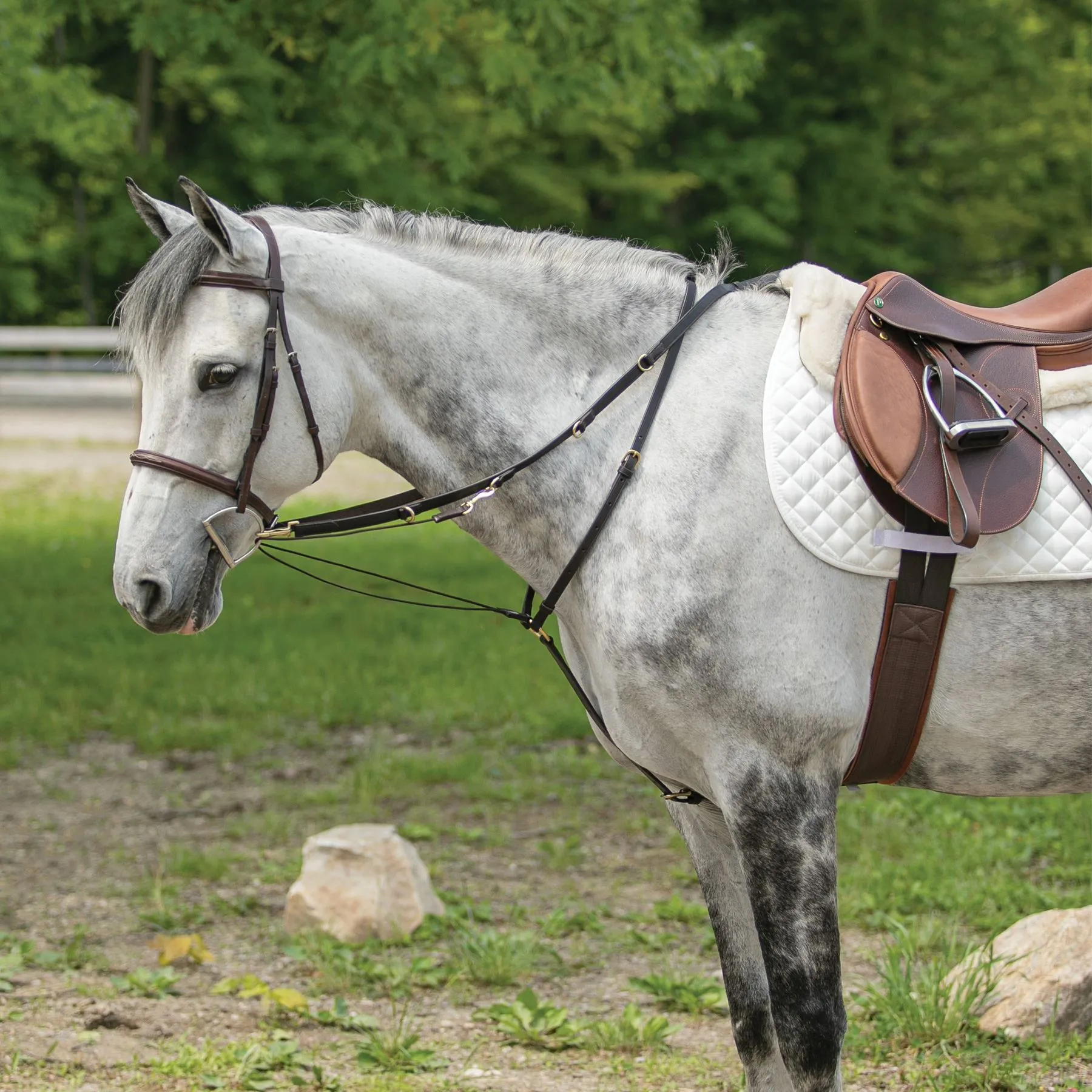 Billy Royal® German Martingale 1 Billy Royal® German Martingale