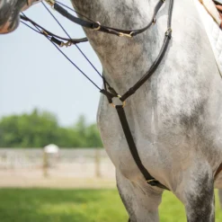 Billy Royal® German Martingale 13 Billy Royal® German Martingale -Equestrian Supplies Shop 01755 alt b