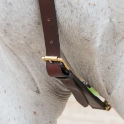 Premier® Premier German Martingale 12 Premier® Premier German Martingale -Equestrian Supplies Shop 01756 alt c