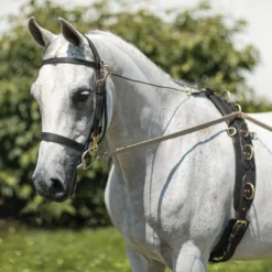 Dura-Tech® Brown Cotton Web Long Lines 9 Dura-Tech® Brown Cotton Web Long Lines -Equestrian Supplies Shop 01777 alt d