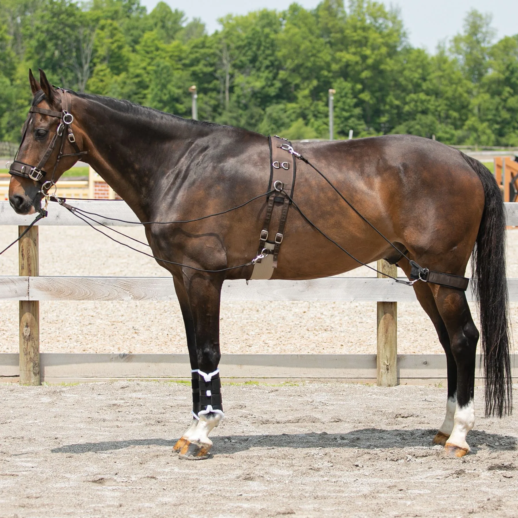 Dura-Tech® Balance Training System - Complete Set 1 Dura-Tech® Balance Training System - Complete Set