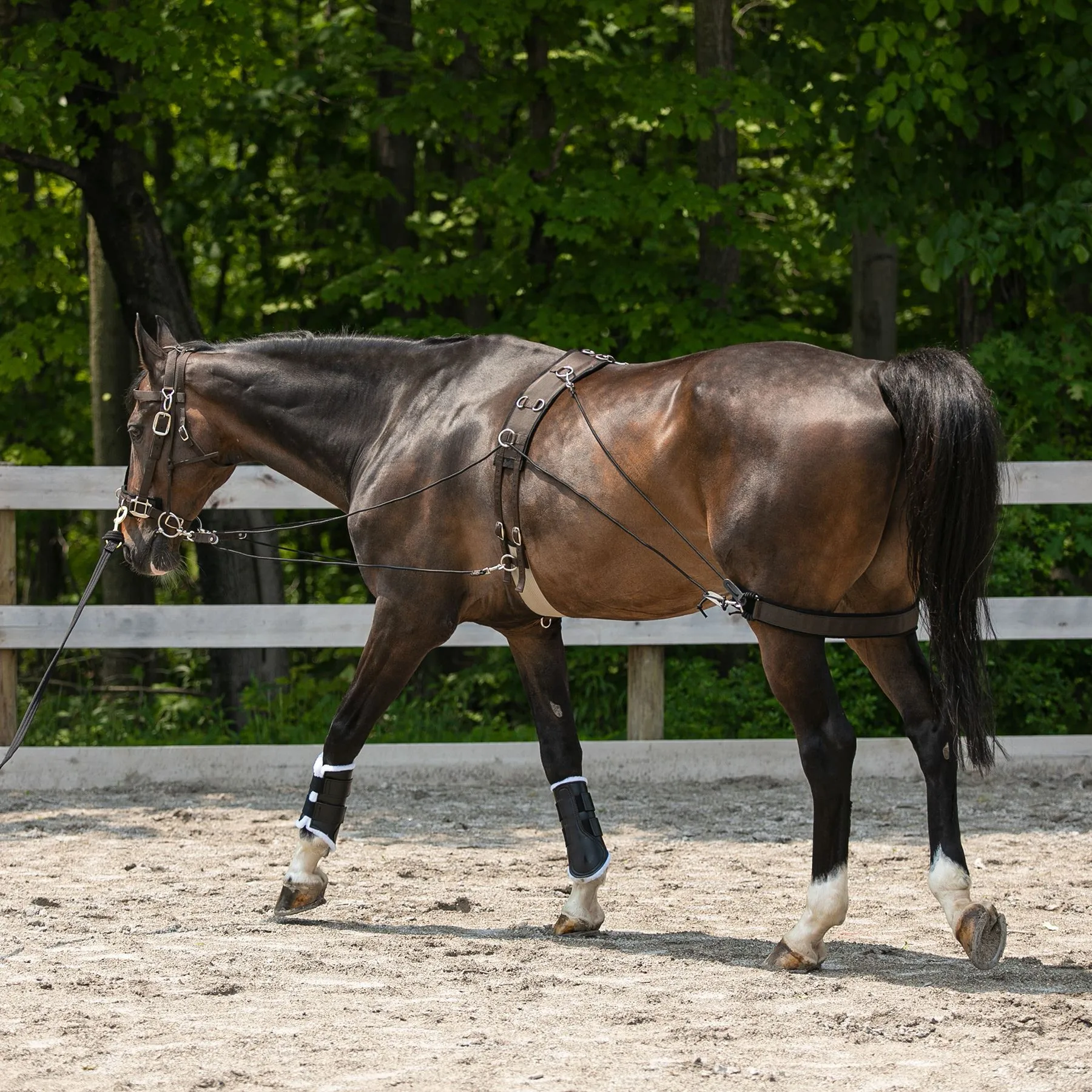 Dura-Tech® Balance Training System - Complete Set 2 Dura-Tech® Balance Training System - Complete Set - Image 2