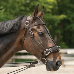 Dura-Tech® Balance Training System - Complete Set 16 Dura-Tech® Balance Training System - Complete Set -Equestrian Supplies Shop 01796 alt b