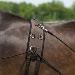 Dura-Tech® Balance Training System - Complete Set 17 Dura-Tech® Balance Training System - Complete Set -Equestrian Supplies Shop 01796 alt c