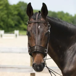 Dura-Tech® Balance Training System - Complete Set 19 Dura-Tech® Balance Training System - Complete Set -Equestrian Supplies Shop 01796 alt e