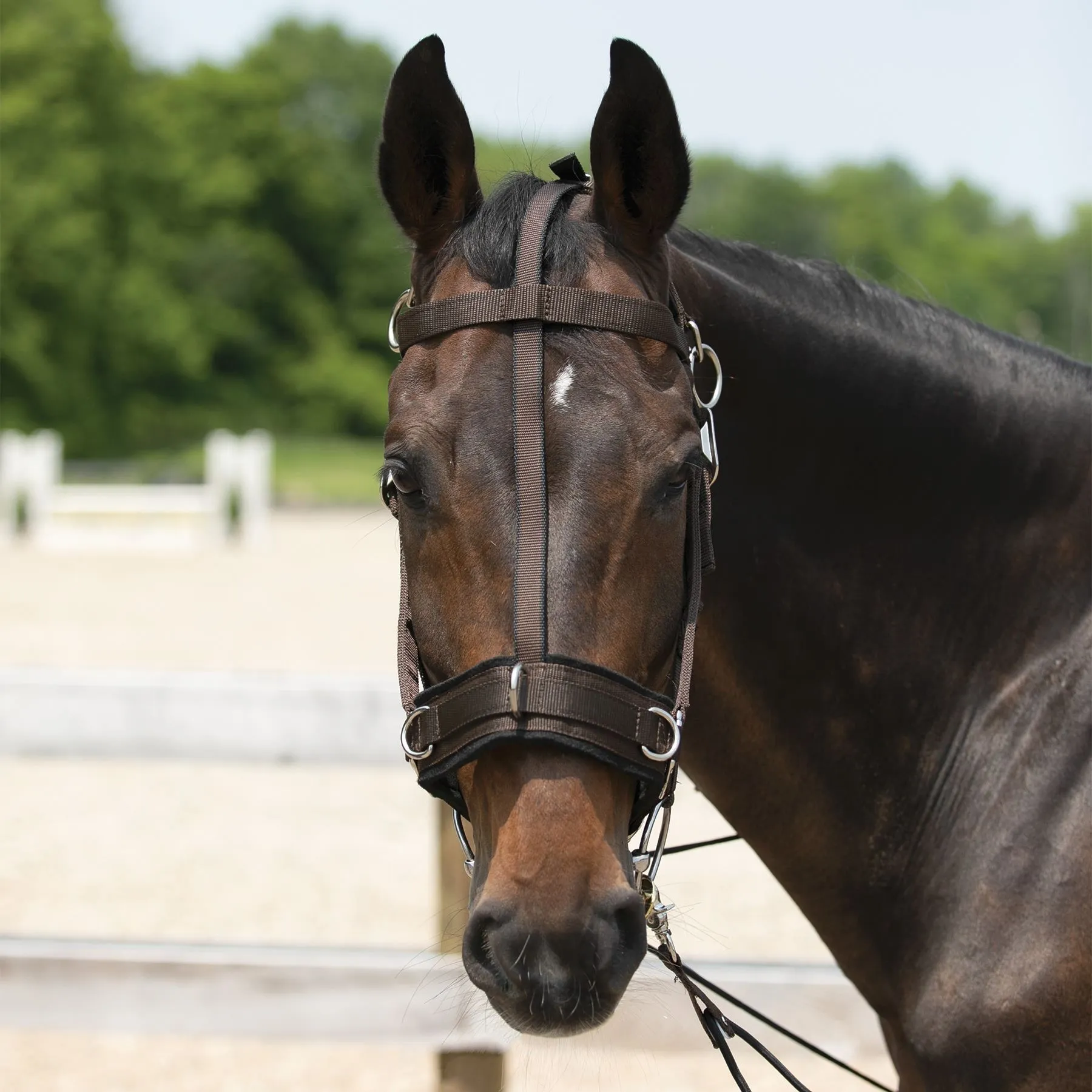 Dura-Tech® Balance Training System - Complete Set 6 Dura-Tech® Balance Training System - Complete Set - Image 6