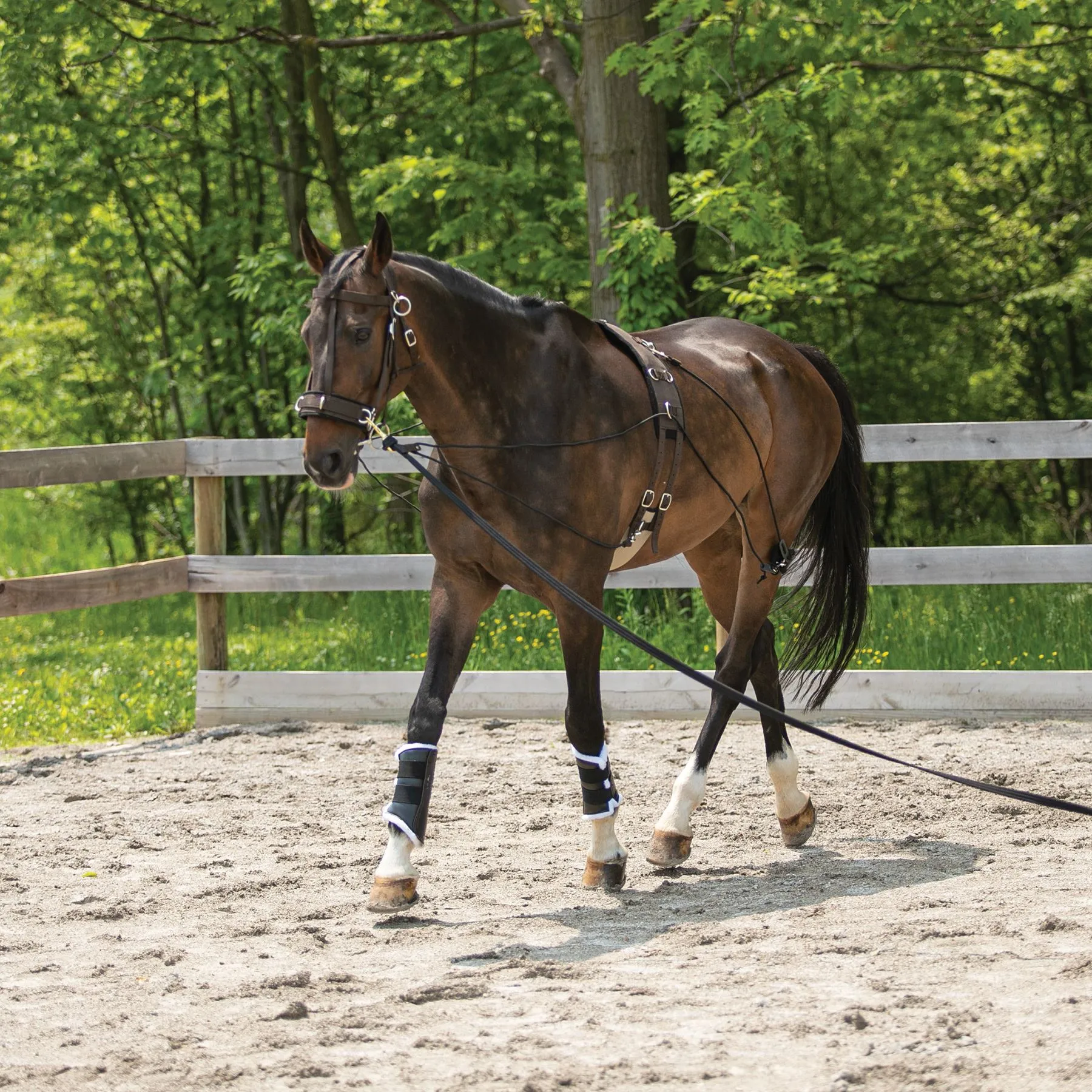 Dura-Tech® Balance Training System - Complete Set 8 Dura-Tech® Balance Training System - Complete Set - Image 8