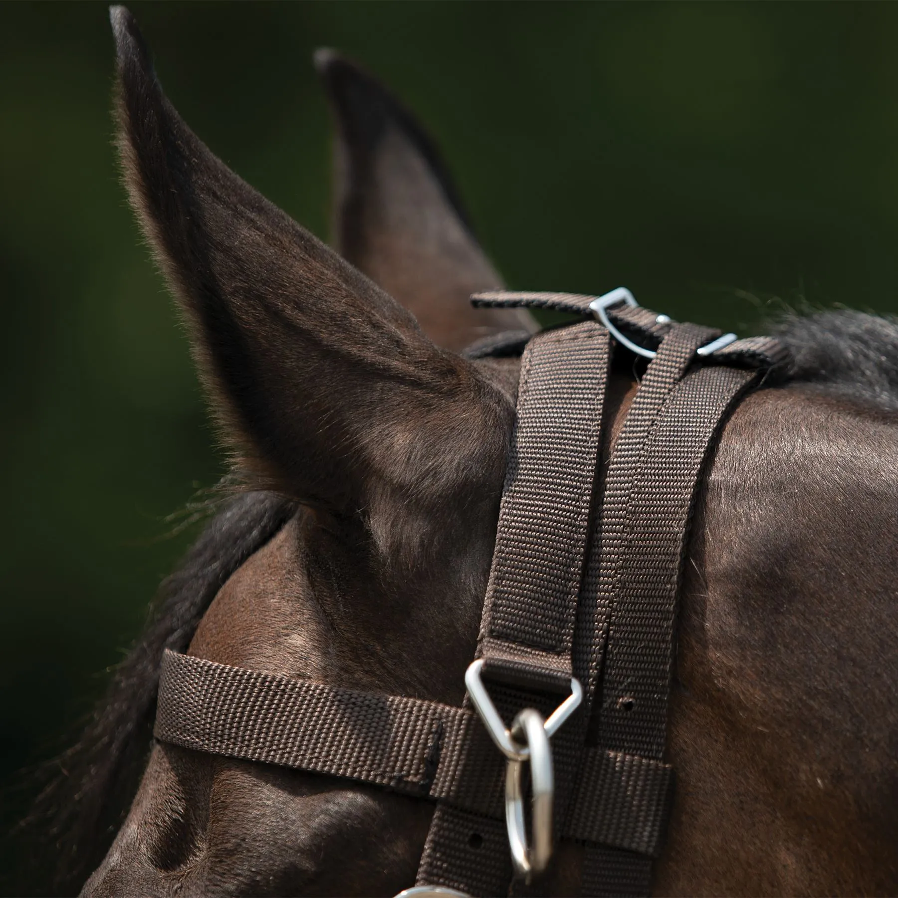 Dura-Tech® Balance Training System - Complete Set 12 Dura-Tech® Balance Training System - Complete Set - Image 12