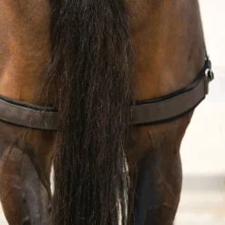 Dura-Tech® Balance Training System - Complete Set 26 Dura-Tech® Balance Training System - Complete Set -Equestrian Supplies Shop 01796 alt l