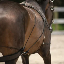 Dura-Tech® Balance Training System - Complete Set 27 Dura-Tech® Balance Training System - Complete Set -Equestrian Supplies Shop 01796 alt m