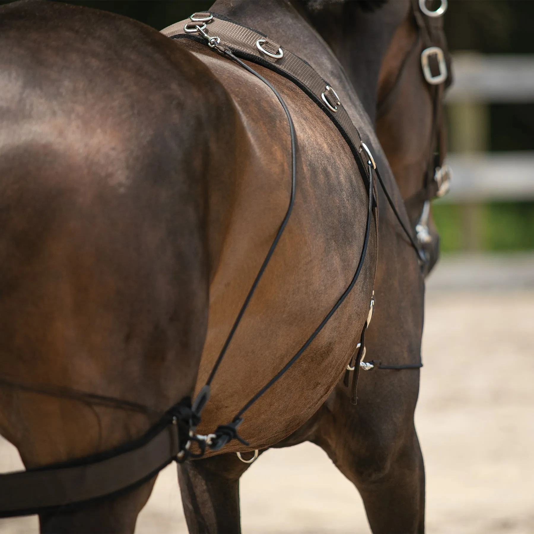 Dura-Tech® Balance Training System - Complete Set 14 Dura-Tech® Balance Training System - Complete Set - Image 14