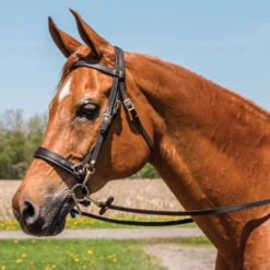 Double S Draw Tight Caveson For Horses 5 Double S Draw Tight Caveson For Horses -Equestrian Supplies Shop 01831 alt b