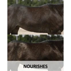 Ultra® Conditioning Shampoo 13 Ultra® Conditioning Shampoo -Equestrian Supplies Shop 02184c feature c overlay