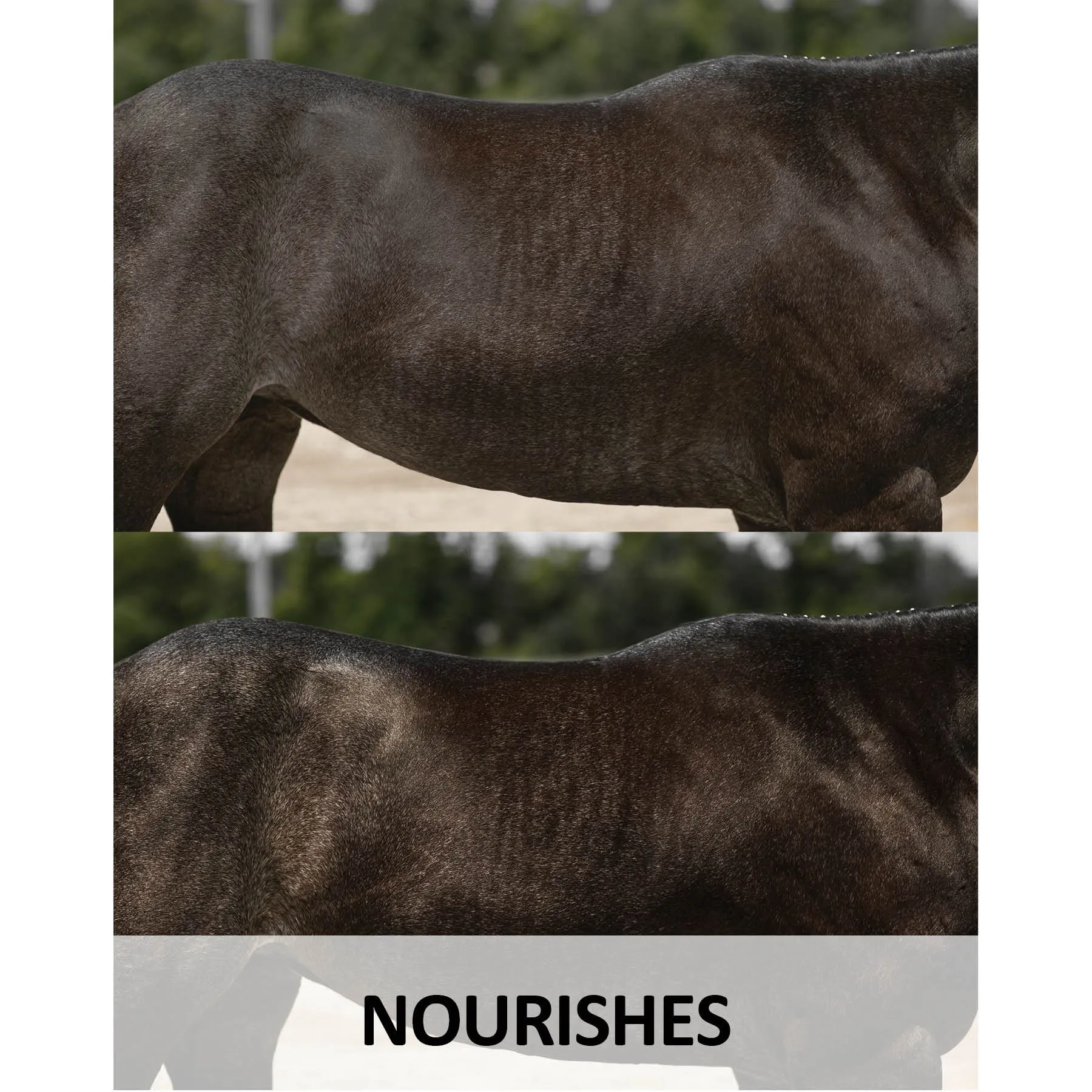 Ultra® Conditioning Shampoo 4 Ultra® Conditioning Shampoo - Image 4