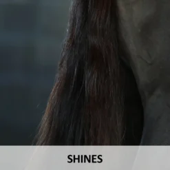 Ultra® Lazer Shine -Equestrian Supplies Shop 02211c feature c overlay