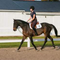 Dura-Tech Sliding Snap Rope Draw Reins For Horses -Equestrian Supplies Shop 05128 alt b