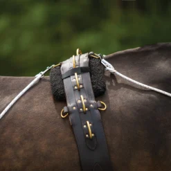 Schneiders Advanced European Training System 20 Schneiders Advanced European Training System -Equestrian Supplies Shop 06751 alt d