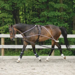 Schneiders Advanced European Training System 21 Schneiders Advanced European Training System -Equestrian Supplies Shop 06751 alt e