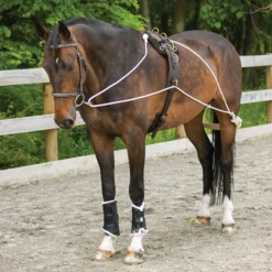 Schneiders Advanced European Training System 24 Schneiders Advanced European Training System -Equestrian Supplies Shop 06751 alt h