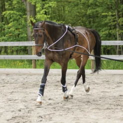 Schneiders Advanced European Training System 25 Schneiders Advanced European Training System -Equestrian Supplies Shop 06751 alt i