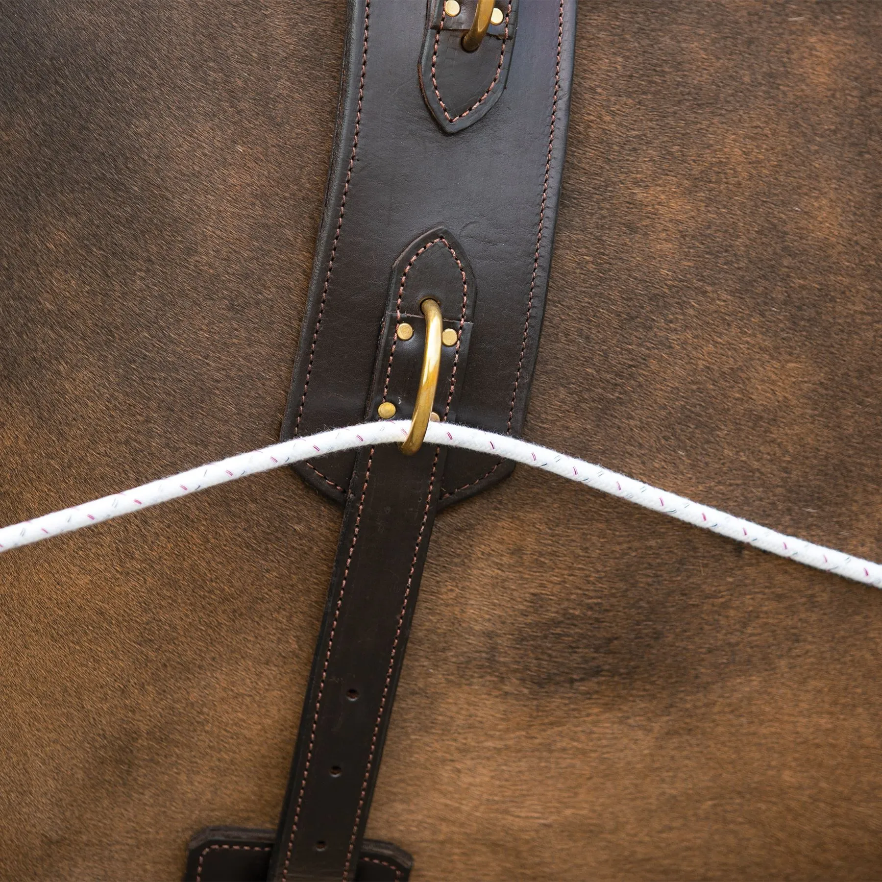 Schneiders Advanced European Training System 13 Schneiders Advanced European Training System - Image 13