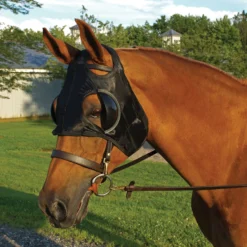 Dura-Tech® Blinker Hood 5 Dura-Tech® Blinker Hood -Equestrian Supplies Shop 10600 black