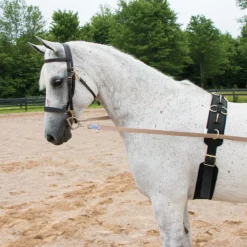 Dura-Tech® Neoprene & Nylon Training Surcingle 9 Dura-Tech® Neoprene & Nylon Training Surcingle -Equestrian Supplies Shop 20290 alt c