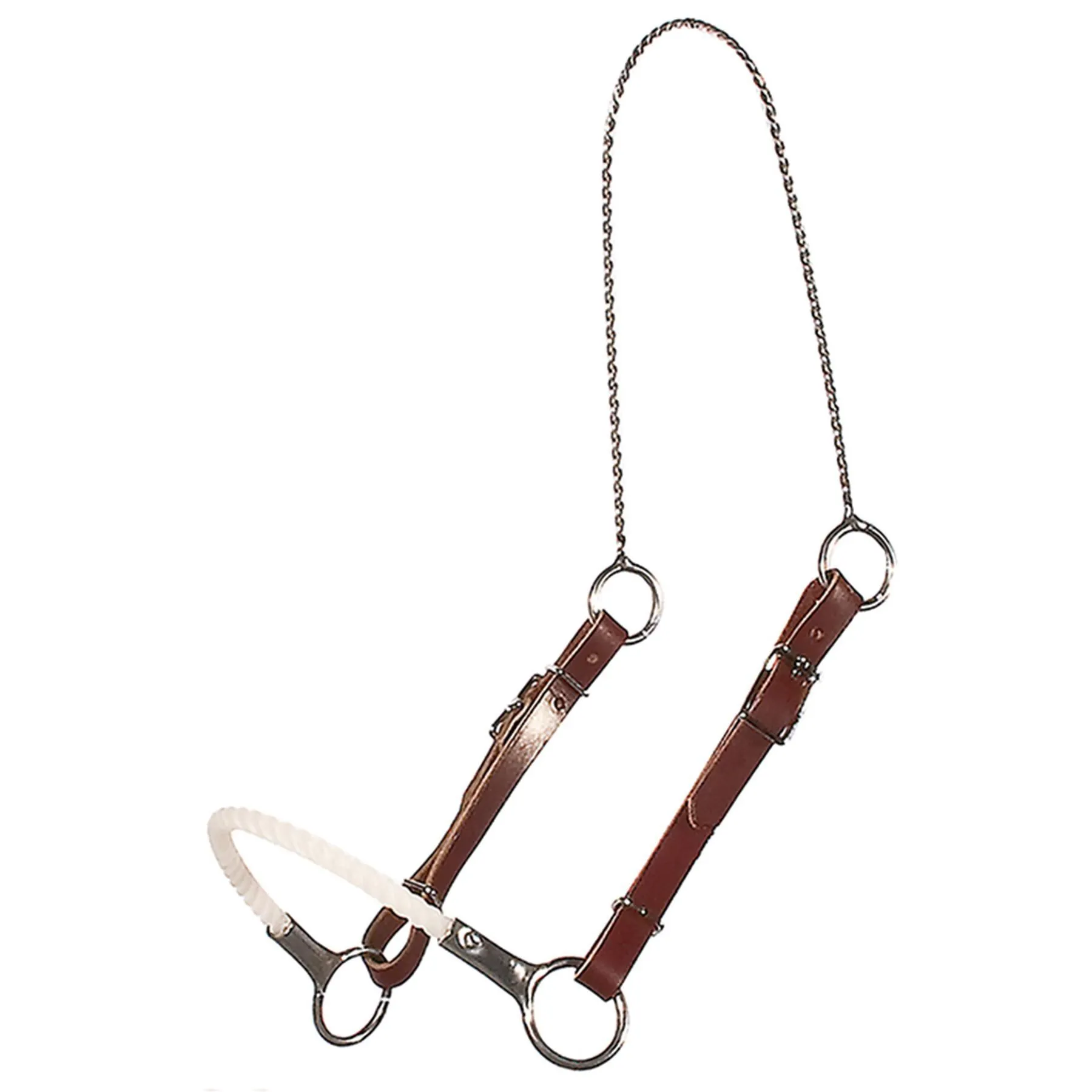 Billy Royal® Showmanship Training Halter 1 Billy Royal® Showmanship Training Halter