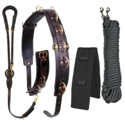 Schneiders Long Lining 4 Piece Training Package