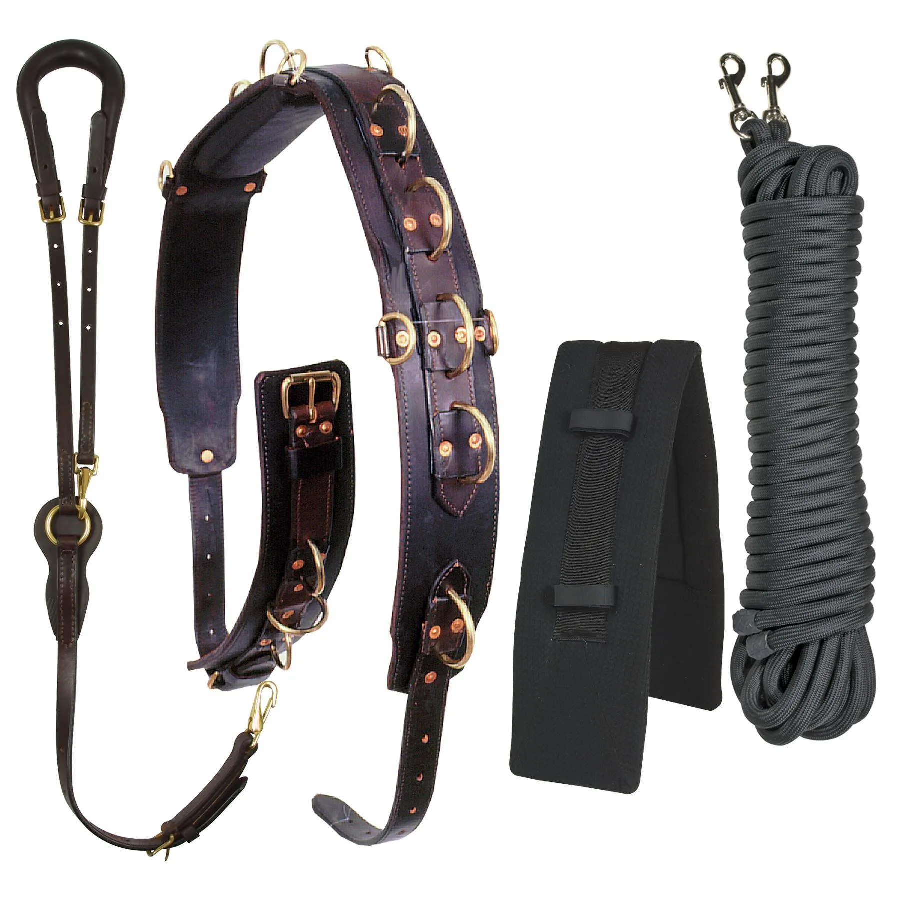 Schneiders Long Lining 4 Piece Training Package 1 Schneiders Long Lining 4 Piece Training Package