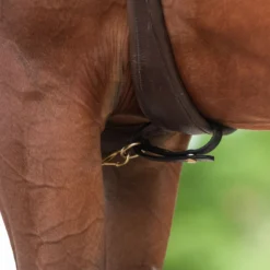 Victor Supreme Bob Hart Arabian Training Martingale 17 Victor Supreme Bob Hart Arabian Training Martingale -Equestrian Supplies Shop 25505 alt b