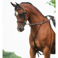 Victor Supreme Bob Hart Arabian Training Martingale 19 Victor Supreme Bob Hart Arabian Training Martingale -Equestrian Supplies Shop 25505 alt d