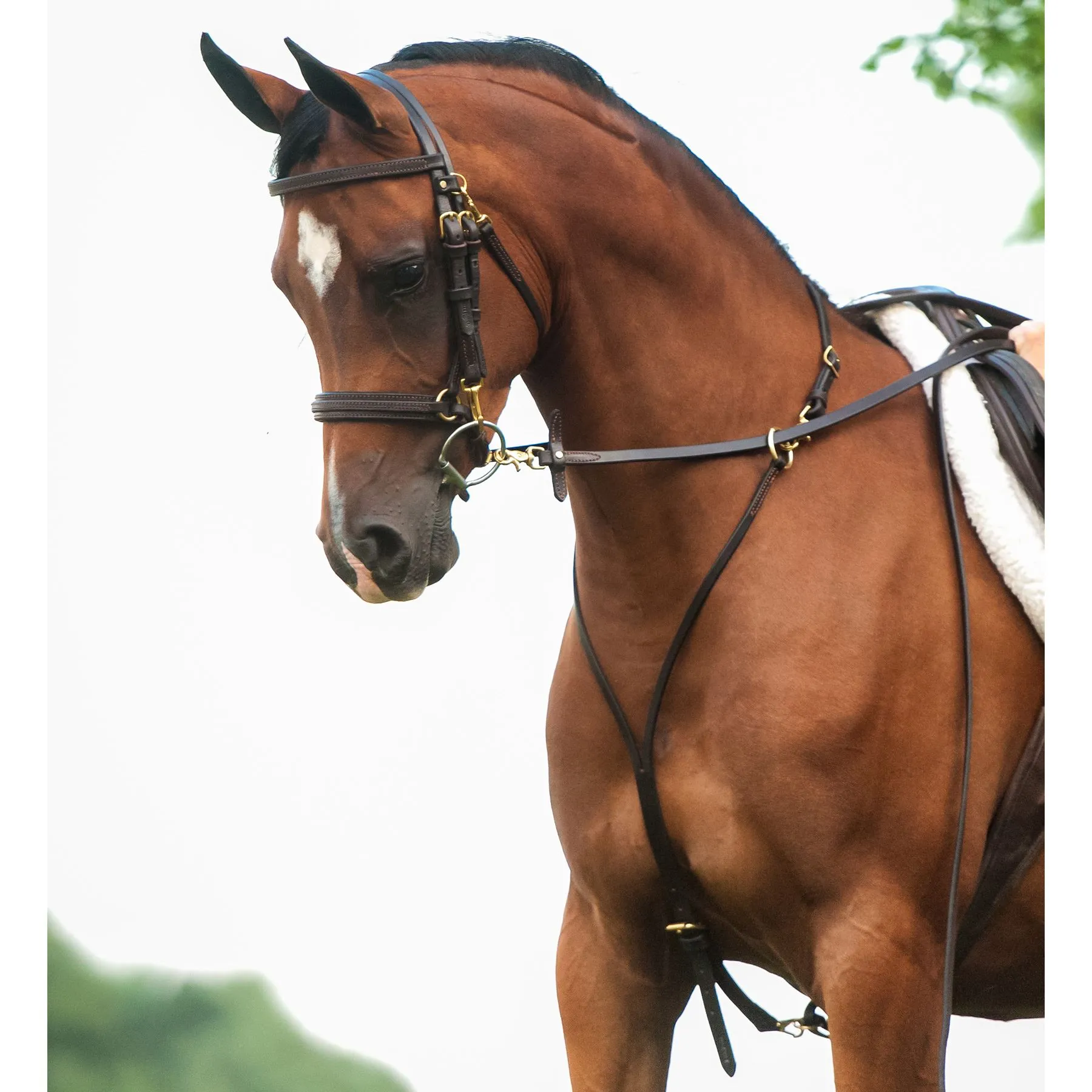 Victor Supreme Bob Hart Arabian Training Martingale 5 Victor Supreme Bob Hart Arabian Training Martingale - Image 5