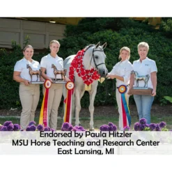 Victor Supreme Bob Hart Arabian Training Martingale 20 Victor Supreme Bob Hart Arabian Training Martingale -Equestrian Supplies Shop 25505 prof a overlay