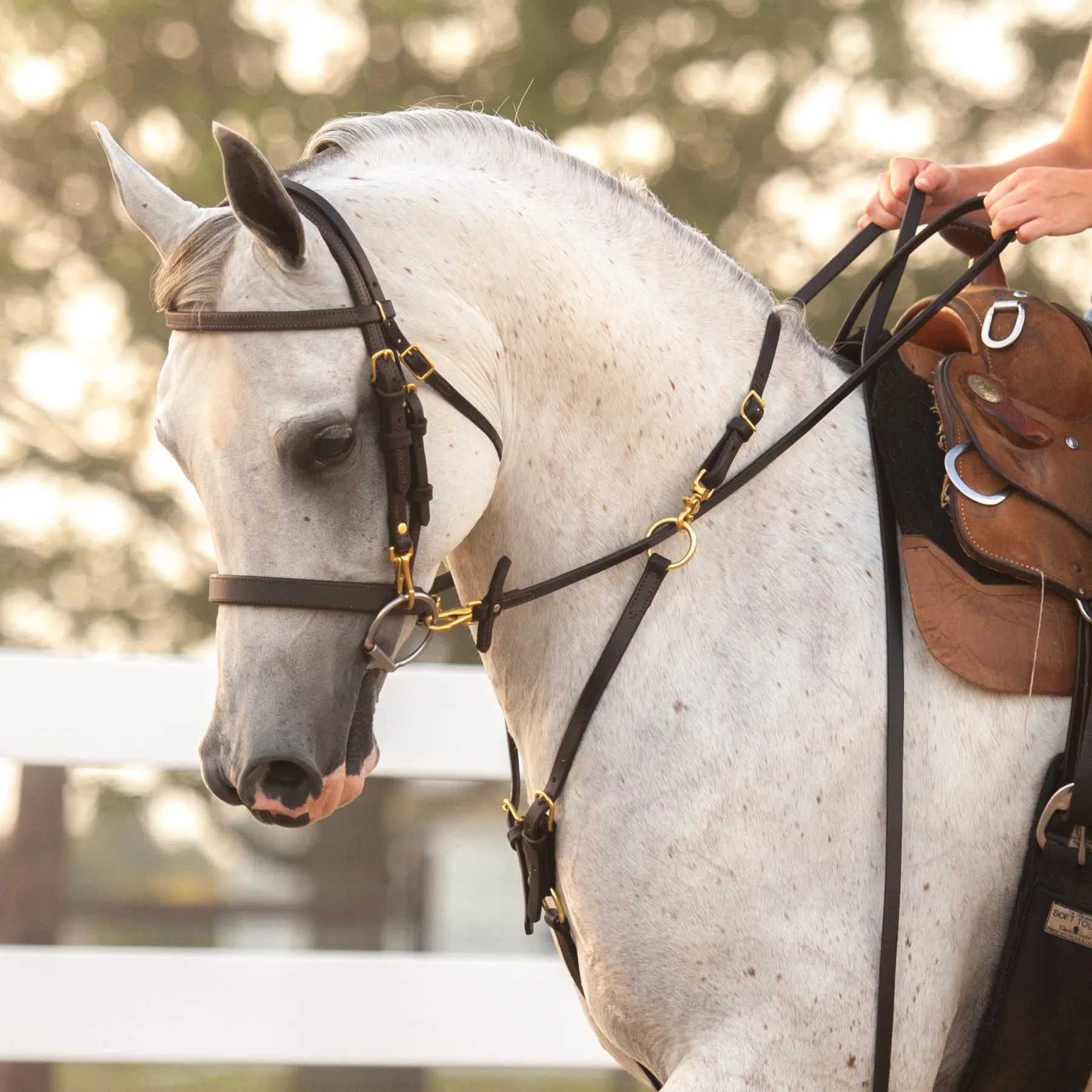 Victor Supreme Bob Hart Adjustable Arabian Training Martingale 1 Victor Supreme Bob Hart Adjustable Arabian Training Martingale