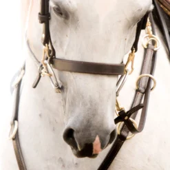 Victor Supreme Gene LaCroix Arabian Training Caveson 14 Victor Supreme Gene LaCroix Arabian Training Caveson -Equestrian Supplies Shop 25509 alt b