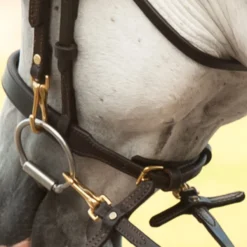 Victor Supreme Gene LaCroix Arabian Training Caveson 15 Victor Supreme Gene LaCroix Arabian Training Caveson -Equestrian Supplies Shop 25509 alt c