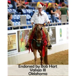 Victor Supreme Gene LaCroix Arabian Training Caveson 20 Victor Supreme Gene LaCroix Arabian Training Caveson -Equestrian Supplies Shop 25509 prof e overlay