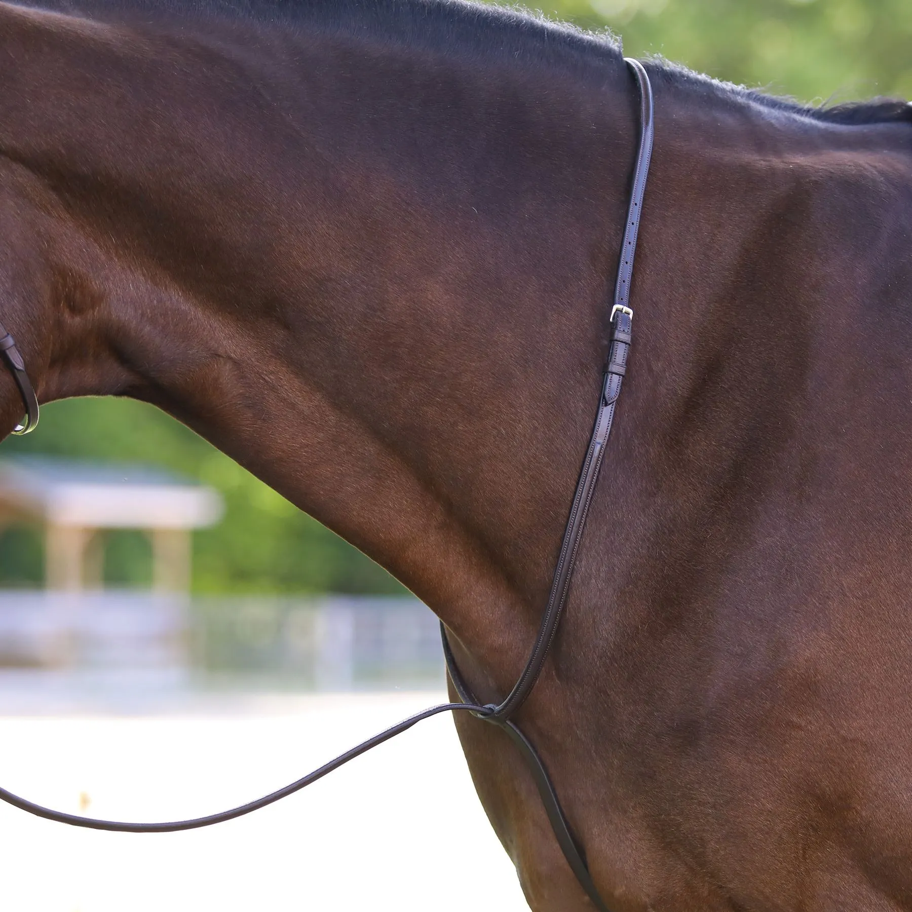 Pinnacle Standing Martingale 4 Pinnacle Standing Martingale - Image 4