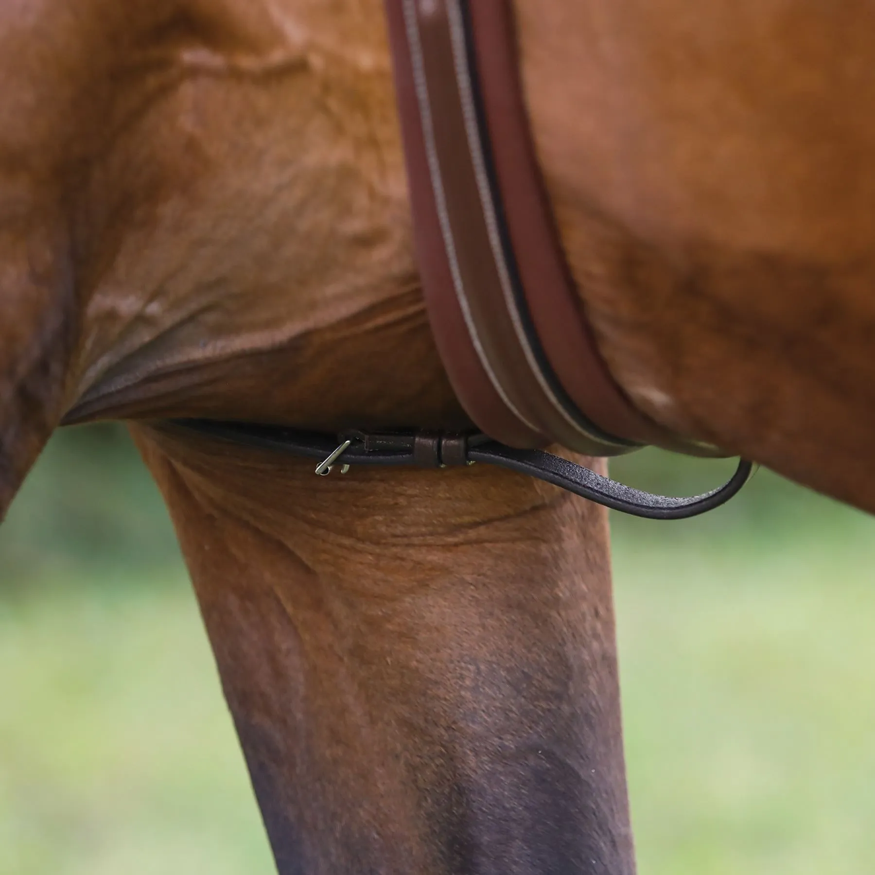 Pinnacle Standing Martingale 8 Pinnacle Standing Martingale - Image 8