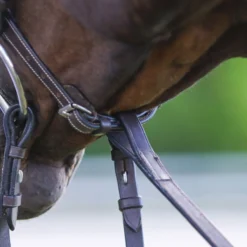 Pinnacle Standing Martingale 23 Pinnacle Standing Martingale -Equestrian Supplies Shop 31827 alt i