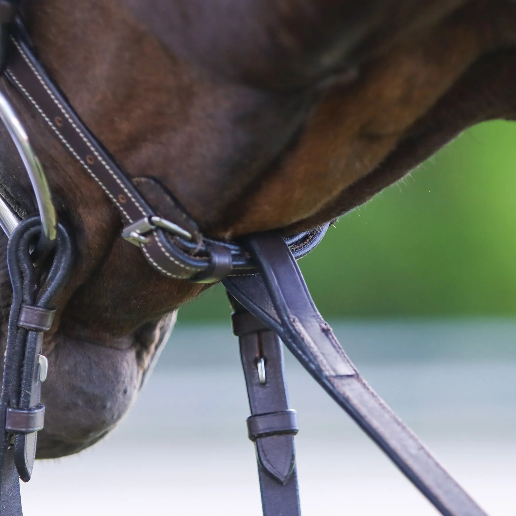 Pinnacle Standing Martingale 10 Pinnacle Standing Martingale - Image 10