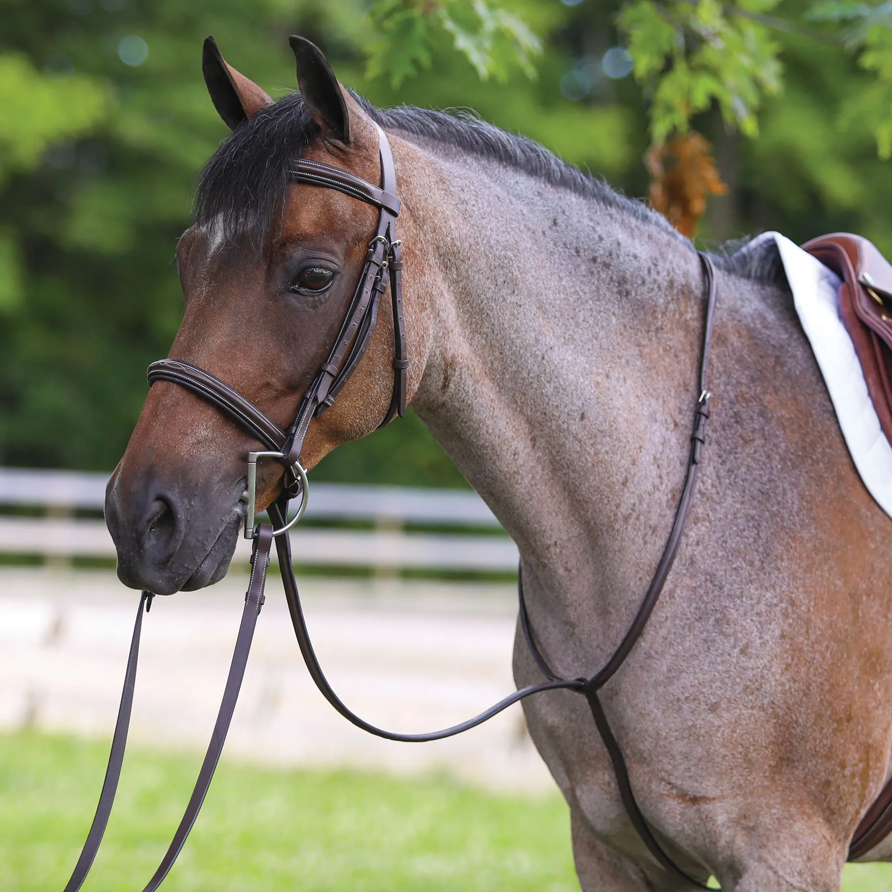 Premier® Premier Raised Fancy Stitched Standing Martingale 1 Premier® Premier Raised Fancy Stitched Standing Martingale