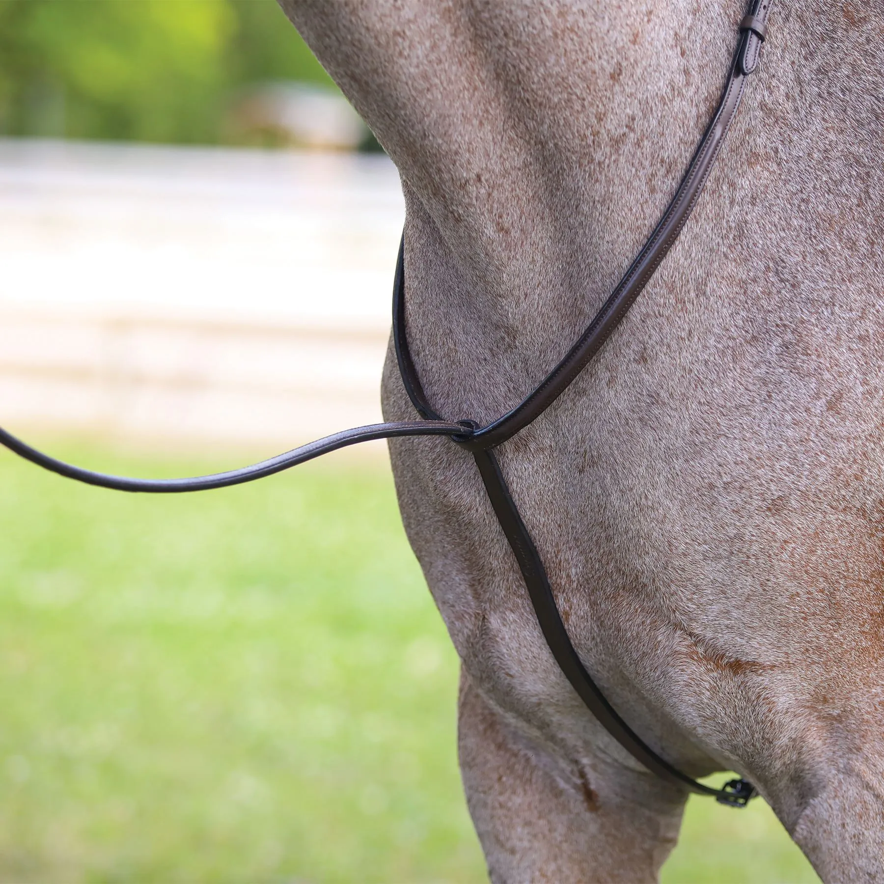 Premier® Premier Raised Fancy Stitched Standing Martingale 4 Premier® Premier Raised Fancy Stitched Standing Martingale - Image 4